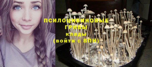 соль ск Алексеевка